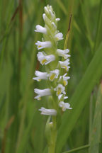 Warren County Natural Areas