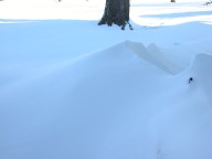 Snowdrifts